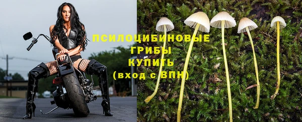 герыч Алексин