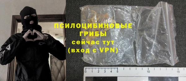 индика Абаза
