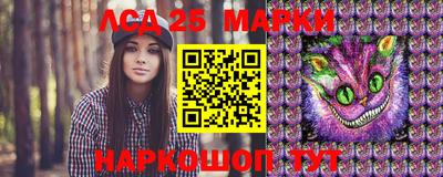 стафф Донецк