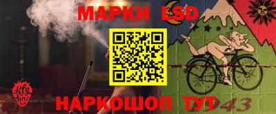 стафф Донецк