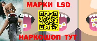 стафф Донецк