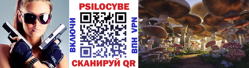 Псилоцибиновые грибы Psilocybe  Моздок 