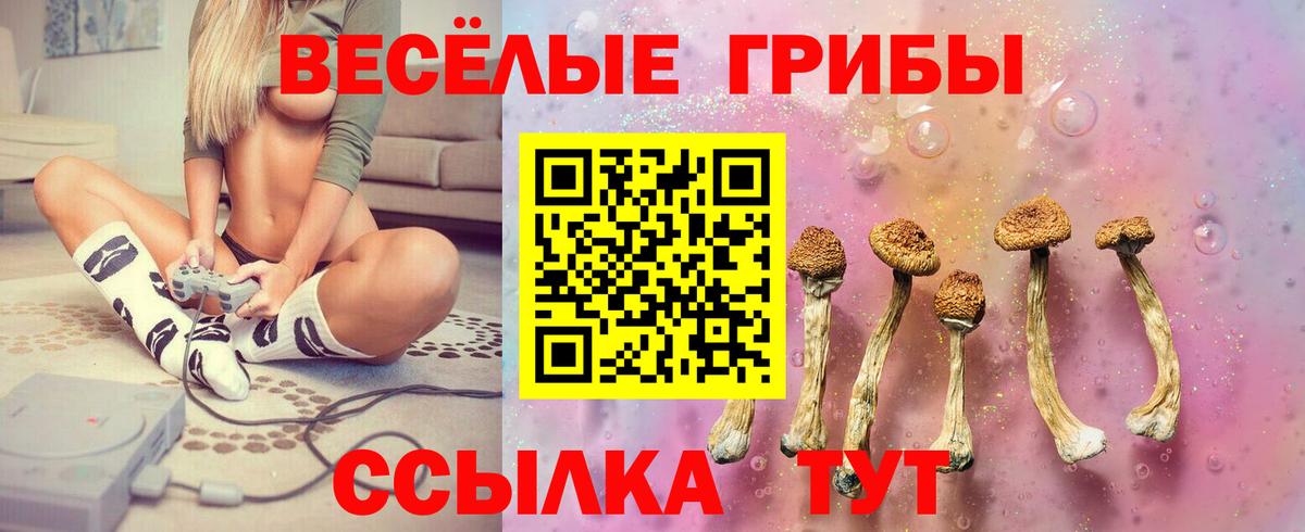 Галлюциногенные грибы Magic Shrooms Моздок